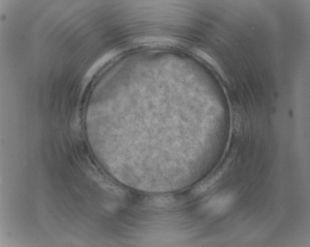 X0000075841074200610061841