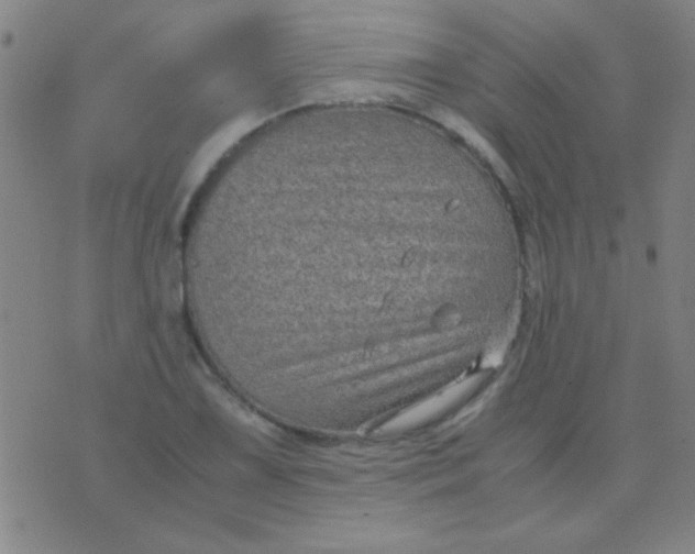 X0000075841075200610061841