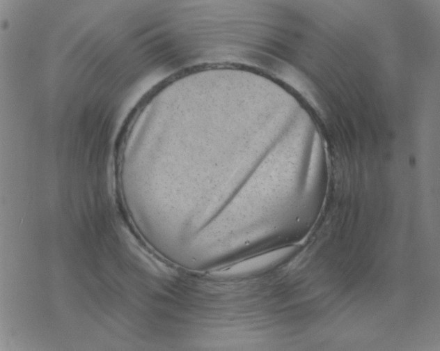 X0000075841076200610061841