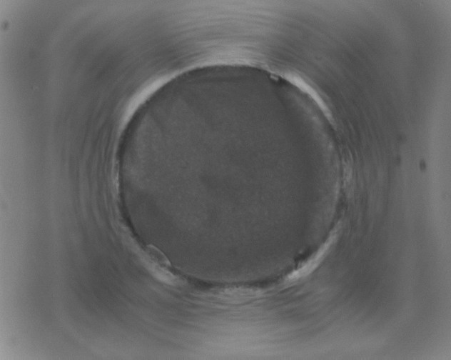 X0000075841077200610061841