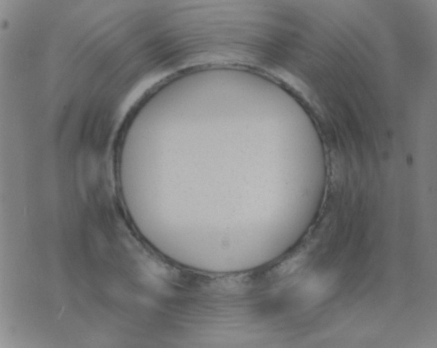 X0000075841078200610061841