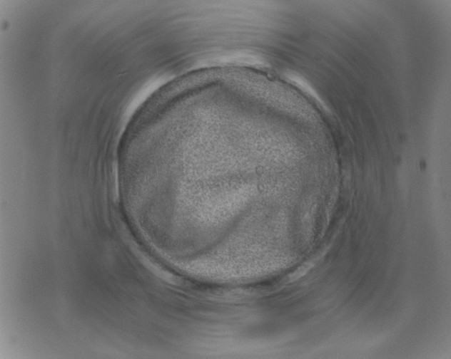 X0000075841079200610061841