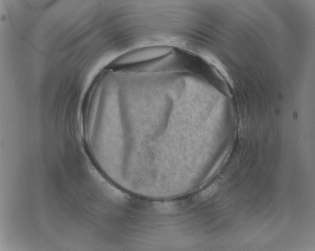 X0000075841080200610061841