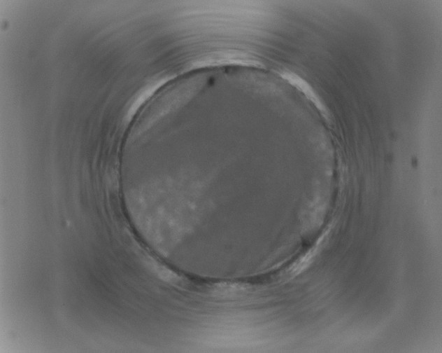 X0000075841081200610061841