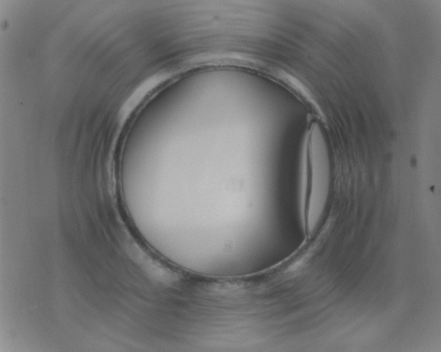 X0000075841082200610061841