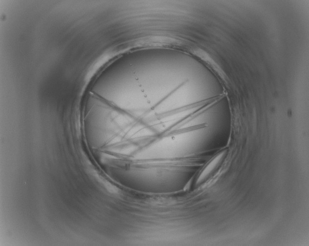 X0000075841083200610061841