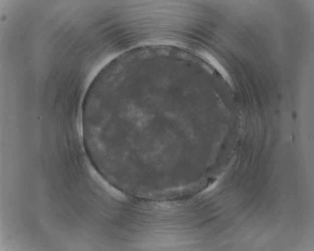 X0000075841084200610061841