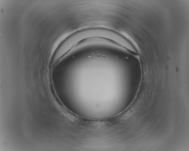 X0000075841085200610061841