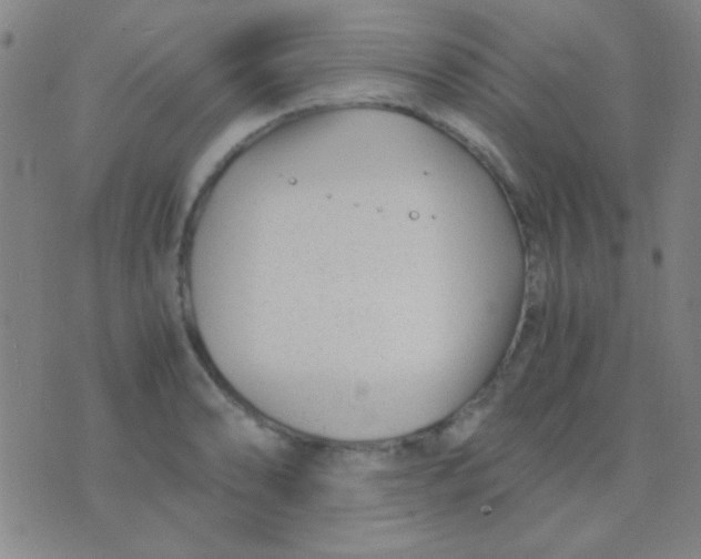 X0000075841086200610061841