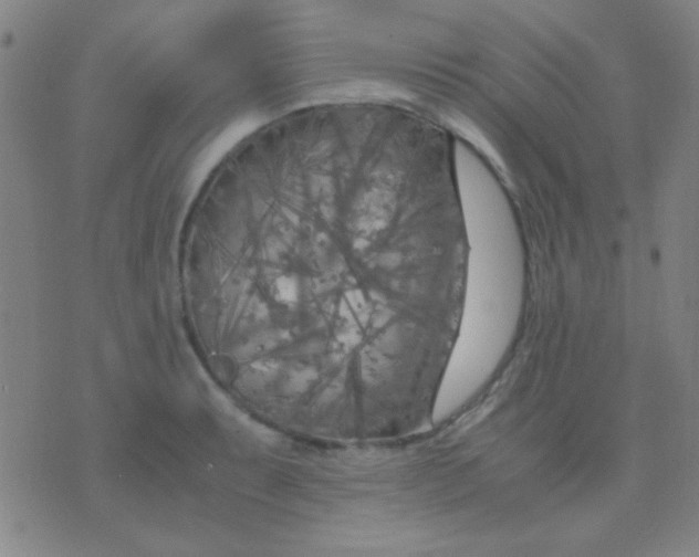 X0000075841087200610061841