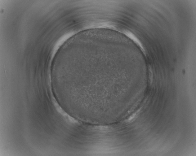 X0000075841088200610061841