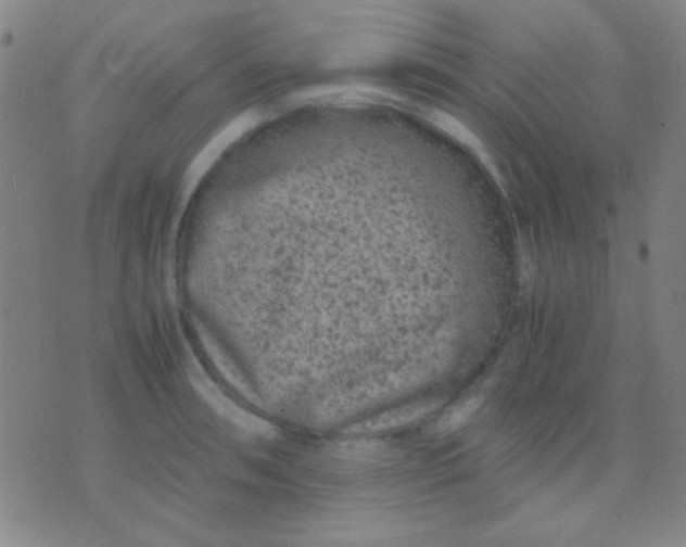 X0000075841090200610061841