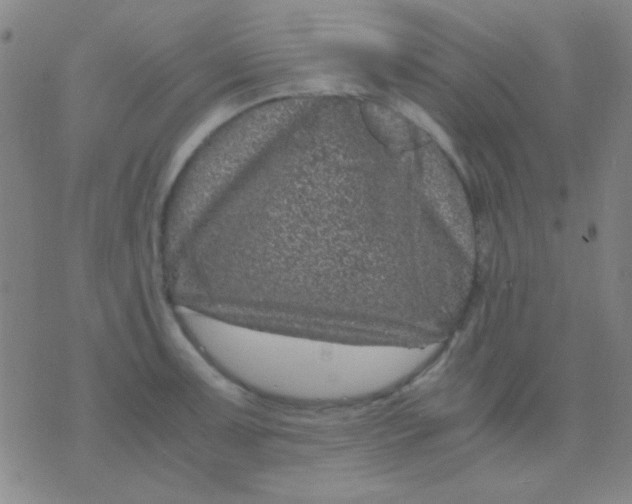 X0000075841091200610061841