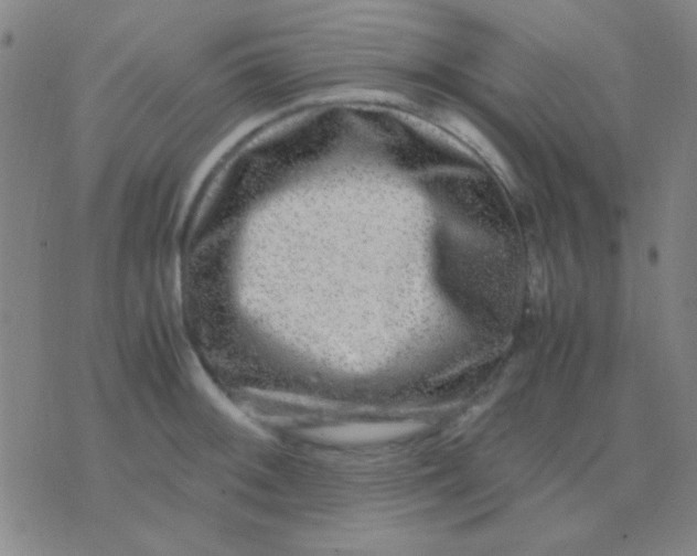 X0000075841092200610061841