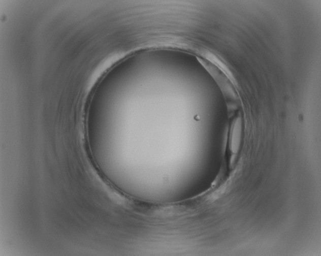 X0000075841093200610061841