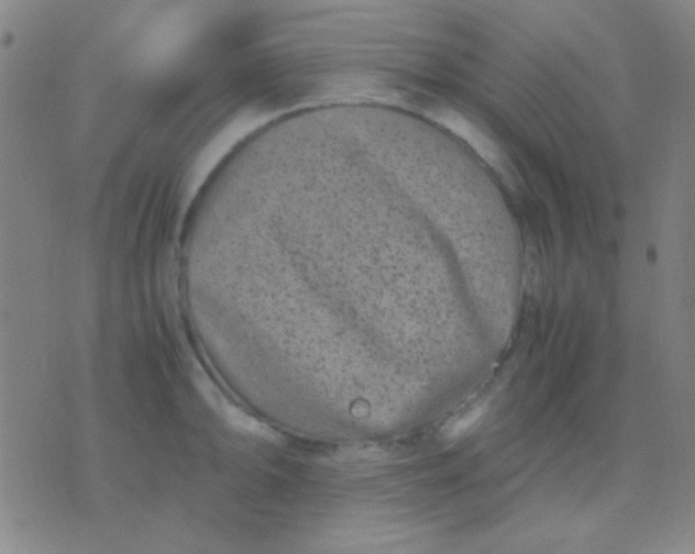 X0000075841094200610061841