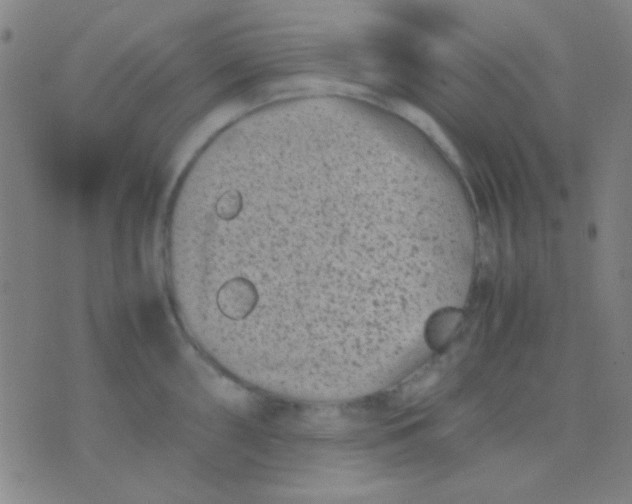 X0000075841098200610061841