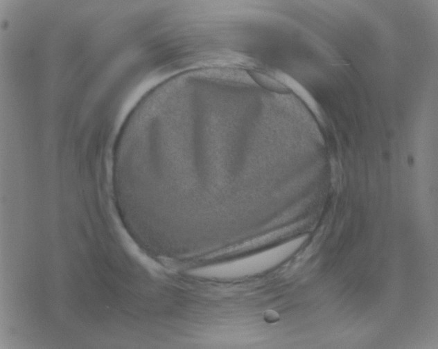 X0000075841099200610061841