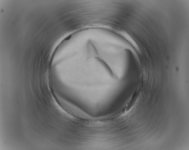 X0000075841100200610061841