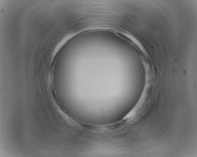 X0000075841101200610061841