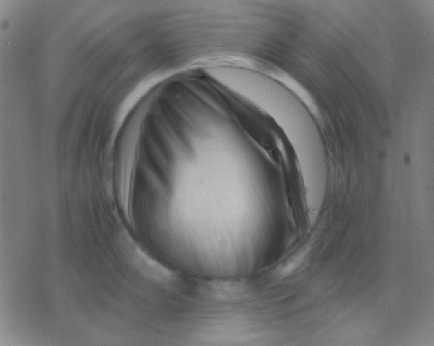 X0000075841102200610061841