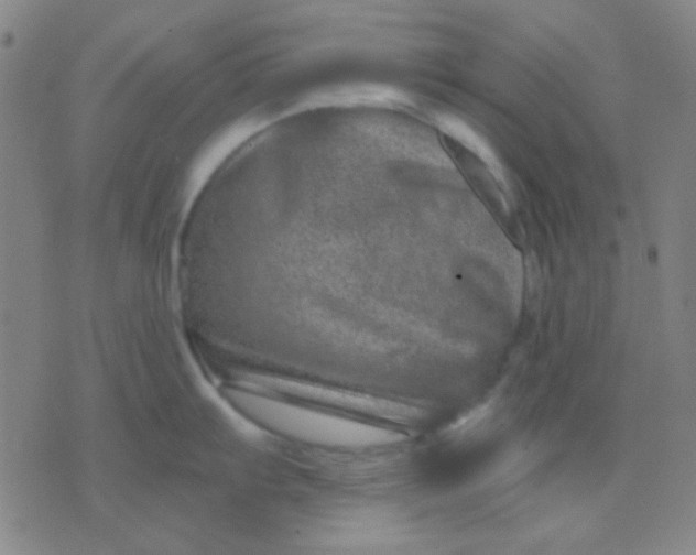 X0000075841103200610061841