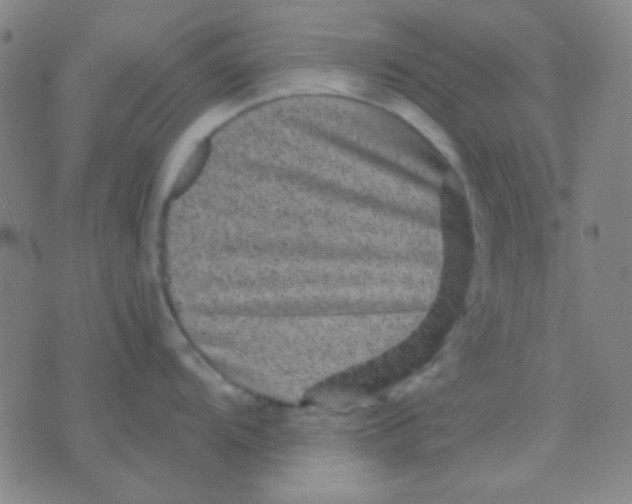 X0000075841104200610061841