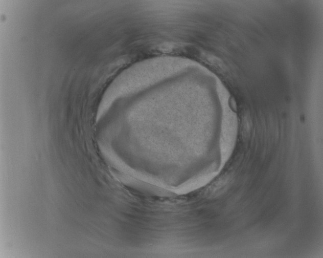 X0000075841105200610061840