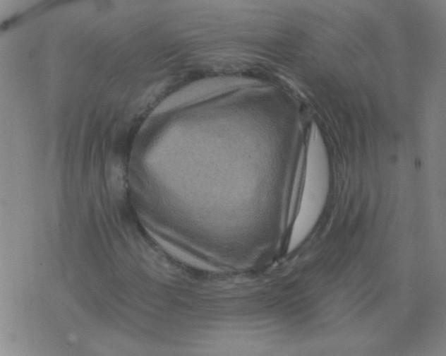 X0000075841108200610061840