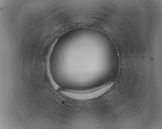 X0000075841109200610061840