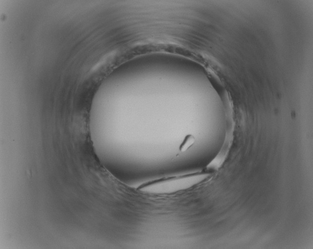 X0000075841110200610061840