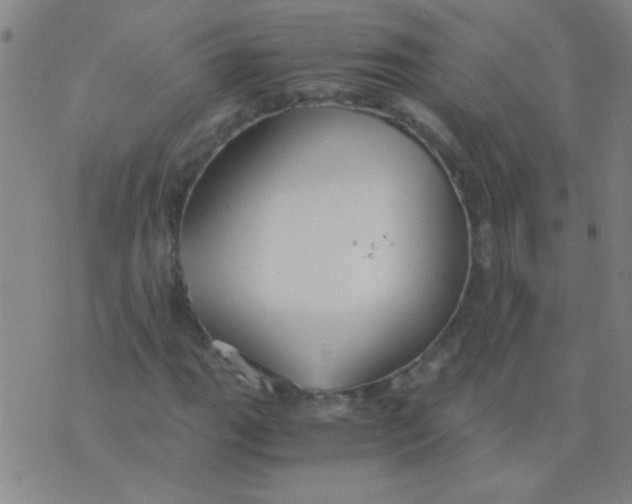 X0000075841111200610061840