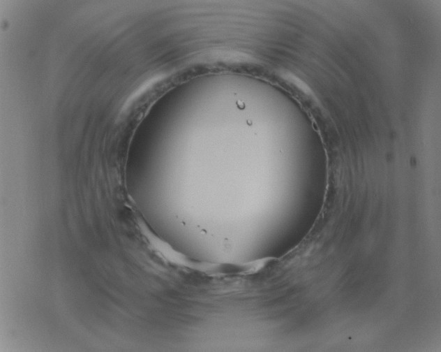 X0000075841112200610061840