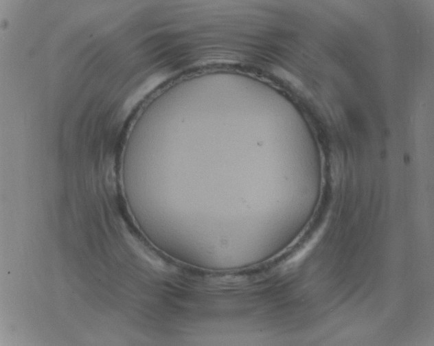 X0000075841113200610061840