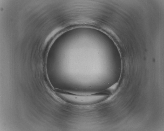 X0000075841114200610061840