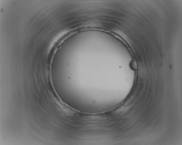 X0000075841115200610061840