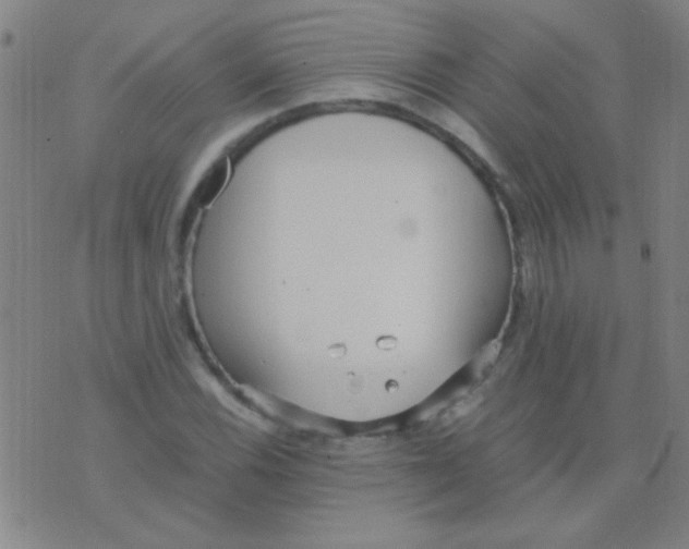 X0000075841116200610061840