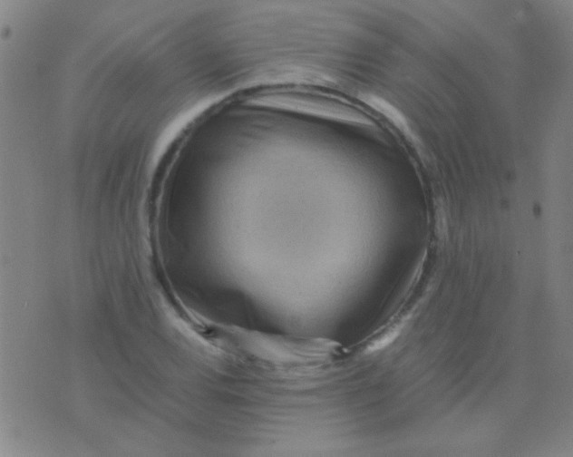 X0000075841120200610061840