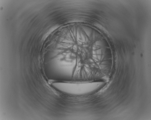 X0000075841121200610061840