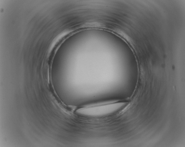 X0000075841123200610061840