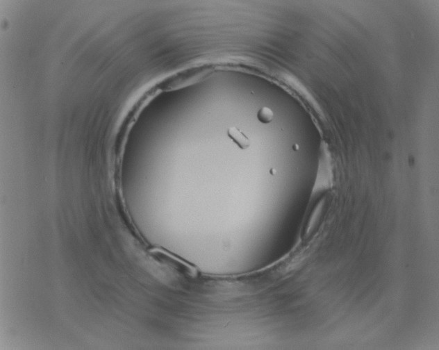 X0000075841124200610061840