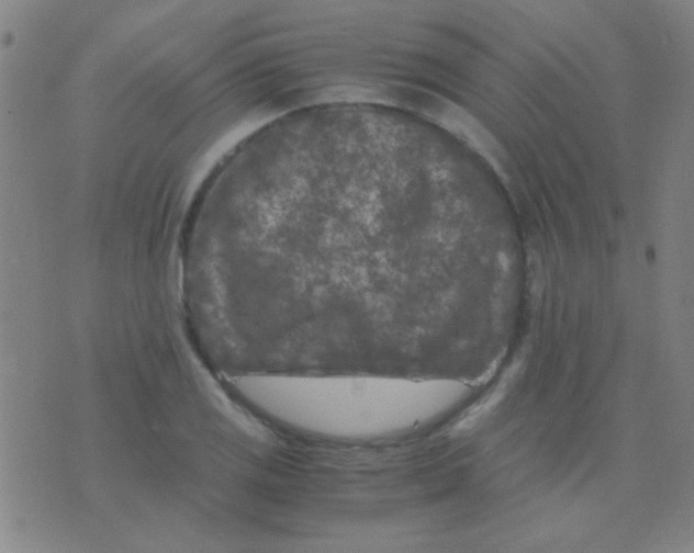 X0000075841125200610061840