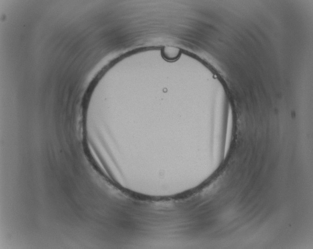 X0000075841126200610061840