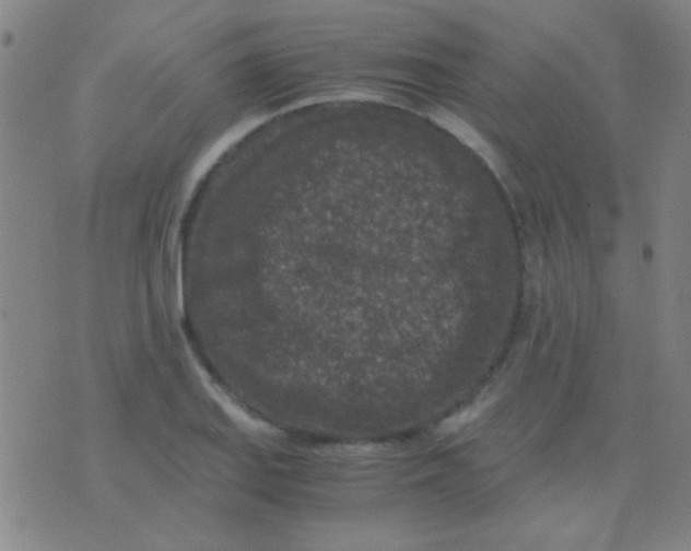 X0000075841127200610061840