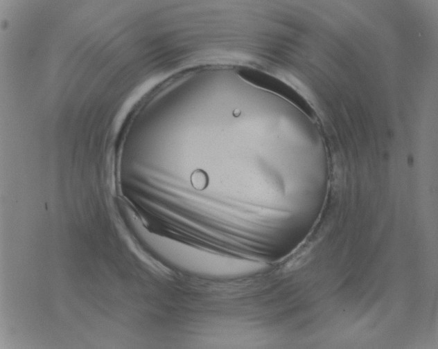 X0000075841128200610061840