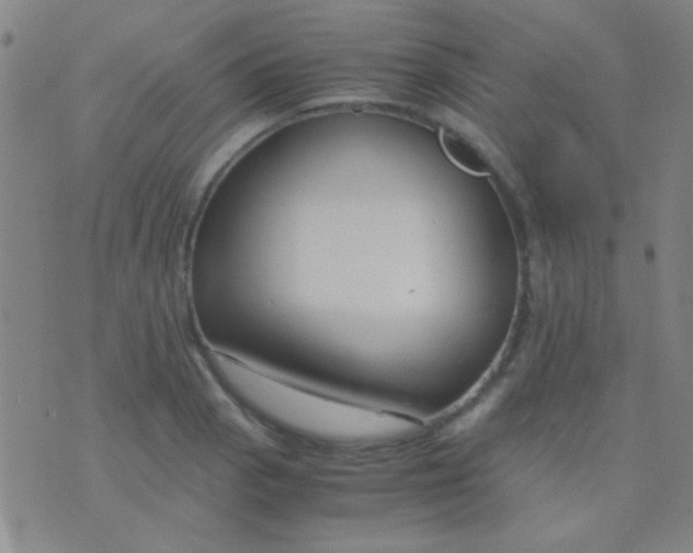 X0000075841129200610061840