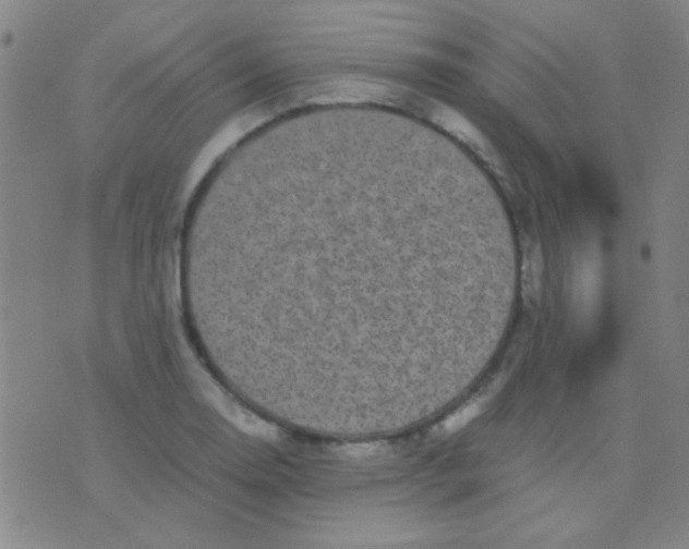 X0000075841130200610061840