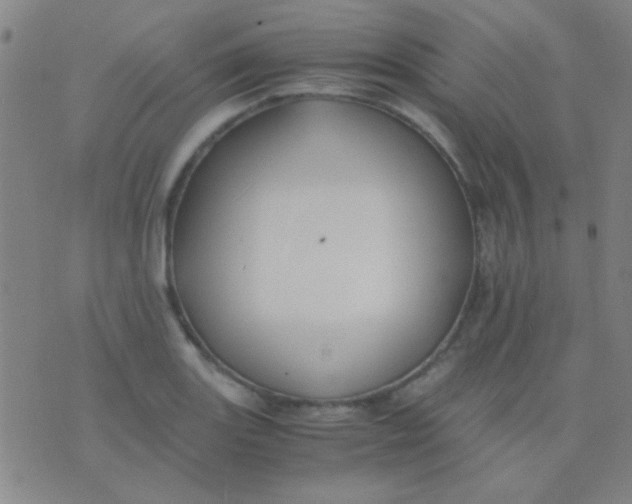 X0000075841131200610061840