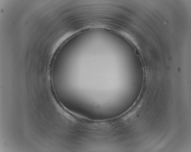 X0000075841133200610061840