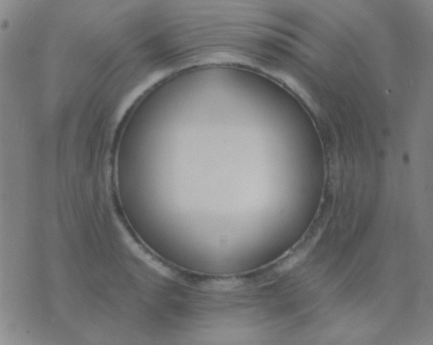 X0000075841134200610061840